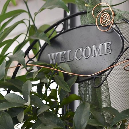 阿尔弗雷多酒店 里米尼 外观 照片